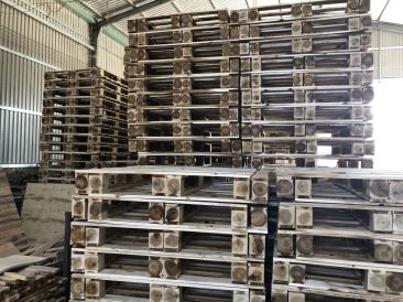Pallet gỗ TPHCM