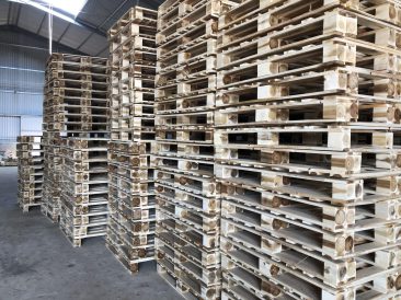 Pallet gỗ 2 mặt