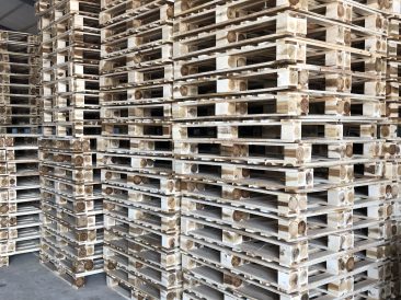 Pallet gỗ Bình Dương