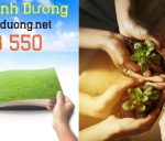 Dịch vụ hút hầm cầu Bình Dương