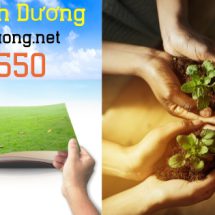 Dịch vụ hút hầm cầu Bình Dương